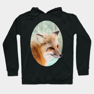 Spirit Fox Hoodie